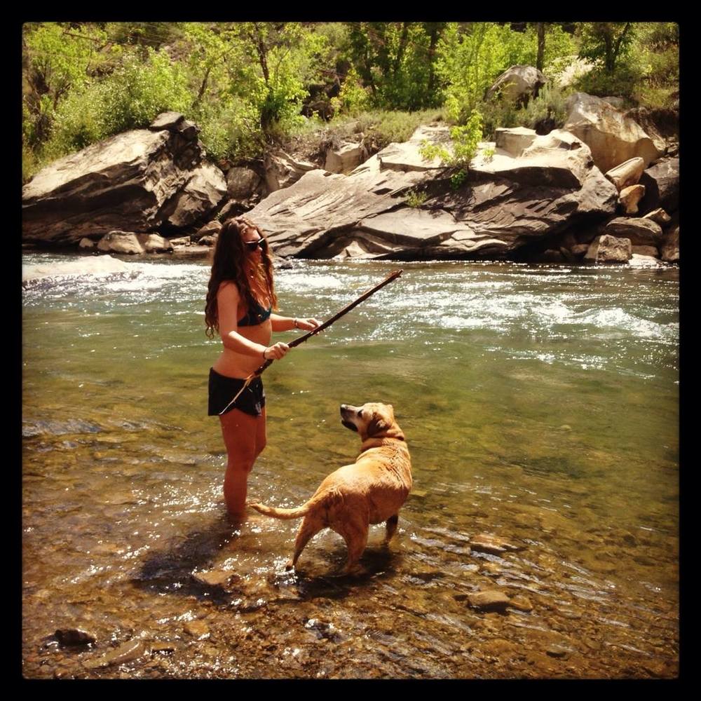 Meet your Posher, Bailey